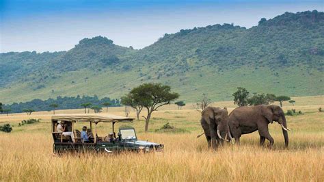 Kenya : une destination qui tient ses promesses ≡ Voyage - Carte - Plan