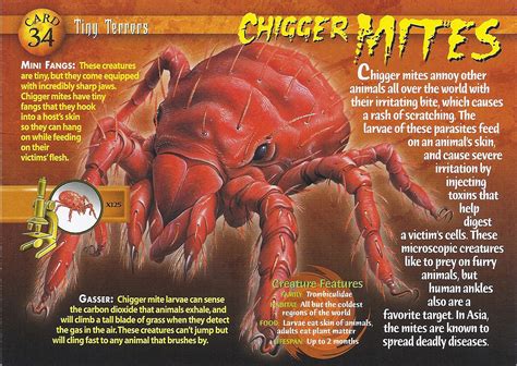 Chigger Mites | Weird n' Wild Creatures Wiki | Fandom