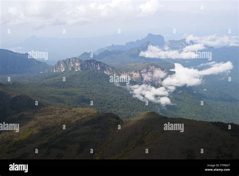 Sierra Imeri the Pico da Neblina National Park - the highest point in ...