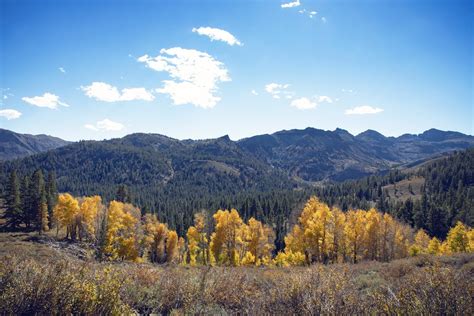 Sonora Pass Fall Colors & Top Spots (High Sierra) — Flying Dawn Marie ...