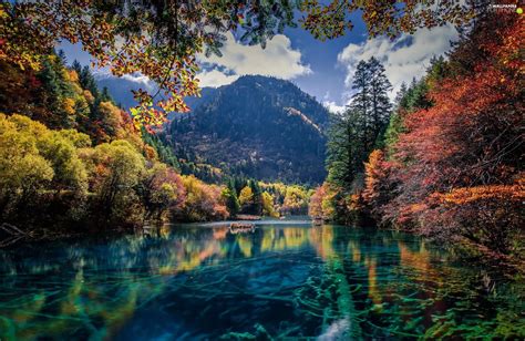 Jiuzhaigou National Park, Sichuan Province, woods, Ngawa, China ...