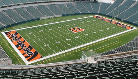 Bengals Stadium | Cincinnati Football Turf | The Motz Group