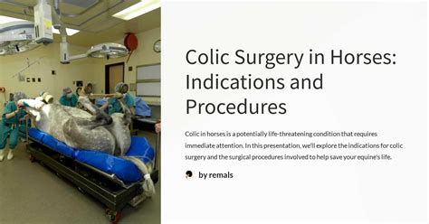 Colic Surgery in Horses: Indications and Procedures