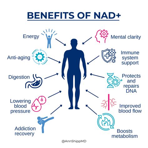 IV Drip Therapy – History and Health Benefits – NAD+, Myers Cocktail ...