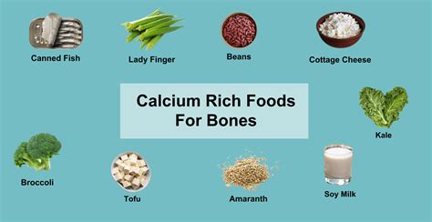 Top 15 Calcium Rich Foods for Bones by Dietitians | Livofy