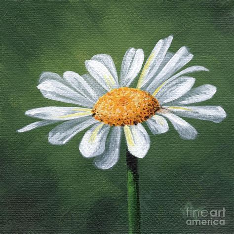 Acrylic Painting Flowers, Daisy Painting, Painting Canvases, Painting ...