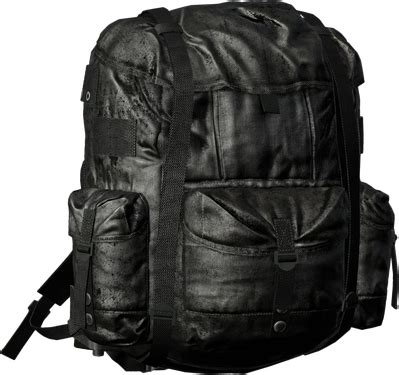 Field Backpack - DayZ Wiki