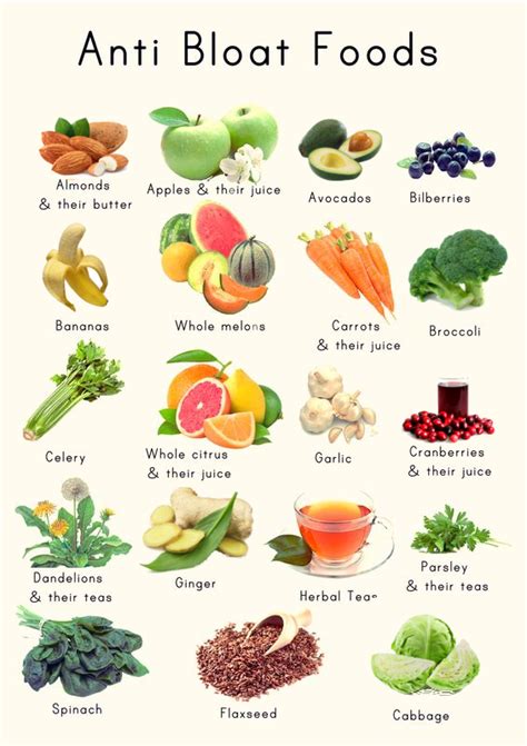 Weight Loss Infographics: Foods That Help Bloating