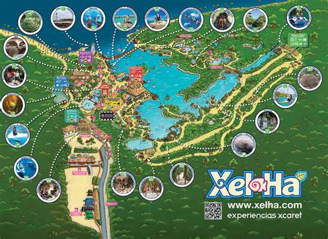 Everything you need to know about Xel-Ha Park in the Riviera Maya