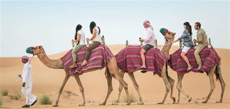 Camel Desert Safari – Dubai Evasion