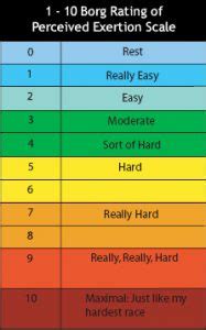 Borg Scale - RPE