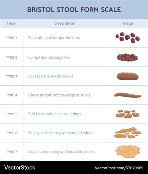 Bristol Stool Chart For Kids | Kids Matttroy