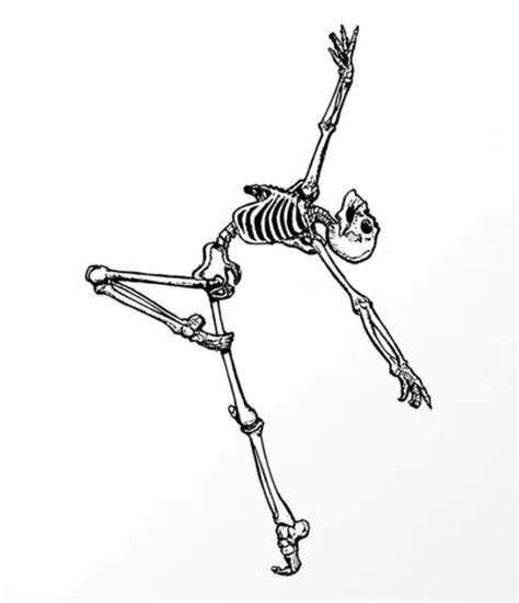 Ballet Skeleton Art Print by Original DNA Plus | Skeleton tattoos ...