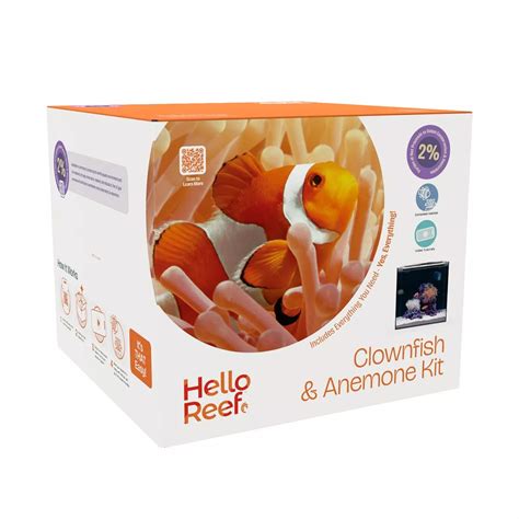 Clownfish & Anemone Aquarium Kit – Frags 2 Fishes | Live Fish & Corals ...