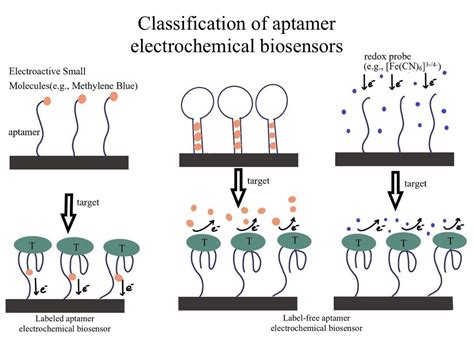 Advances in Electrochemical Aptamer Biosensors for the Detection of ...