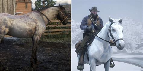 The Best Horse Breeds In RDR2