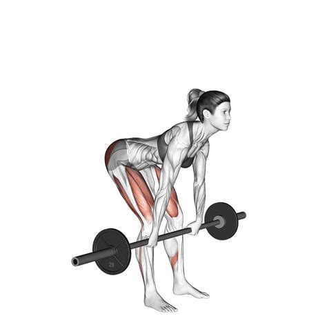 Romanian Deadlift: Benefits, Muscles Used, and More - Inspire US