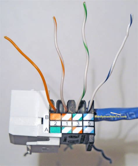 Cat5 Wiring Diagram Wall Plate