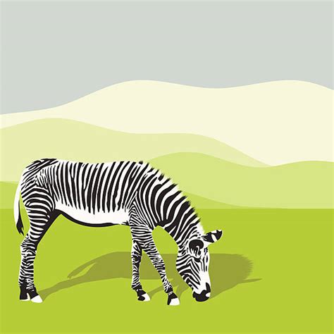 Best Pictures Of Grassland Animals Illustrations, Royalty-Free Vector ...