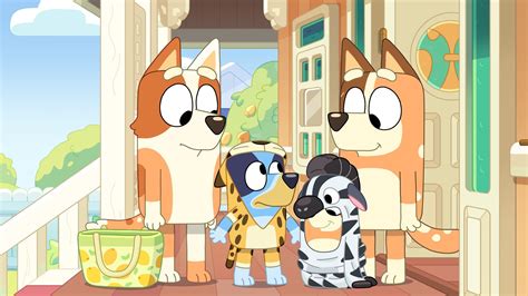 Bluey Abc Iview