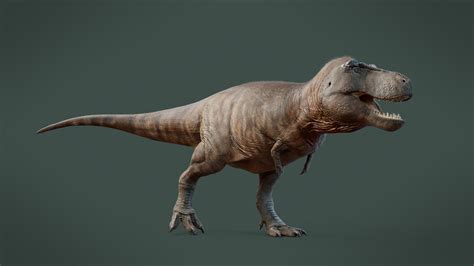 Max Bellomio - Tyrannosaurus Rex 3D Model - Life Reconstruction