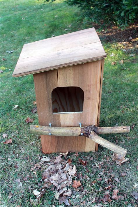 News & Info | MyNature Apps | Bird house plans, Bird house, Bird house ...