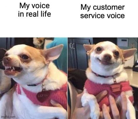 30 Customer Service Memes That Will Leave You in Splits (2023)