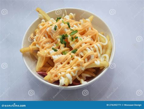 Cheesy Fries stock image. Image of dinner, meat, cheese - 276392771