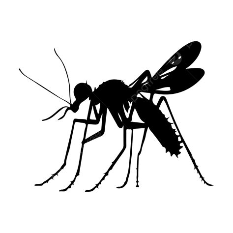 Black Hand Draw Dengue Mosquito Vector, Mosquito Drawing, Mosquito ...