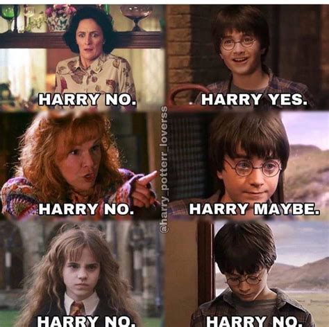 50+ Harry Potter Memes That Will Always Make You Laugh