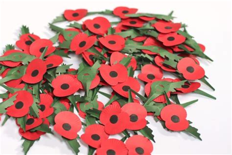 Royal British Legion’s Poppy Appeal 2023 launches in Worcestershire ...