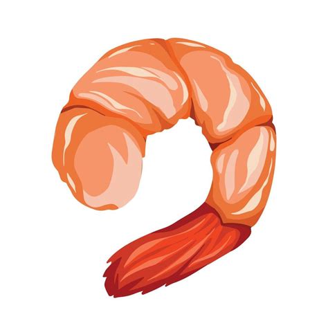 Clipart Of A Shrimp