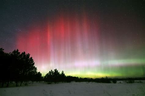 Aurora Borealis 2024 Florida - Tedda Ealasaid