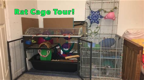 SCN/DIY Rat Cage Tour - YouTube