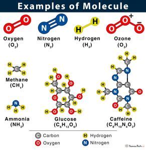 Molecule: Definition, Examples, Facts & Diagram