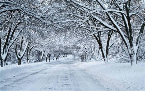 Snowing Animated Background - Winter Gif Snow Animated Gifs Nature ...