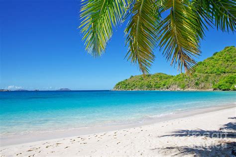 Sandy beach at summer sunny day. Photograph by Yaromir Mlynski - Pixels