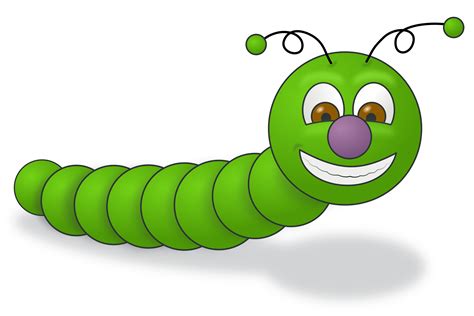 Insects clipart worm, Insects worm Transparent FREE for download on ...