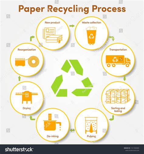 10,559 Paper Recycling Process Images, Stock Photos, 3D objects ...