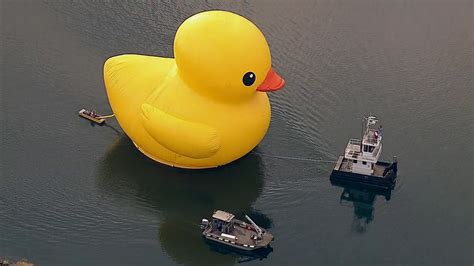 Giant rubber duck wows spectators at Port of LA for Festival of Tall ...