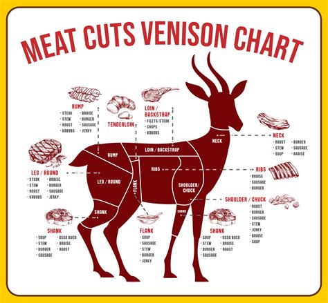 Meat Butcher Chart - 10 Free PDF Printables | Printablee