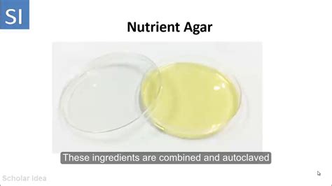 Nutrient Agar Slant Preparation