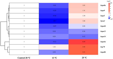 Genes | Free Full-Text | Hsp70 Gene Family in Sebastiscus marmoratus ...