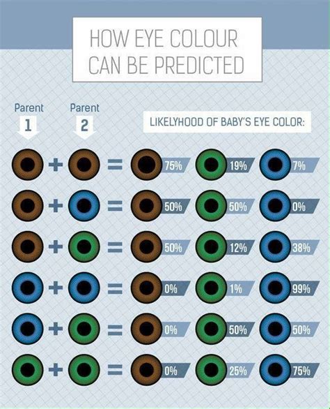 how eye color is predicted | Eye color chart, Eye color chart genetics ...