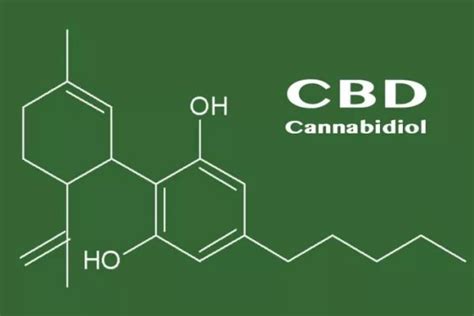 Safety and Side Effects of Cannabidiol