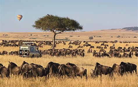 Tourist Attractions in Masai Mara National Reserve | Kenya Safaris