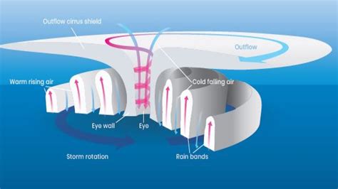 Formation Of A Cyclone Diagram