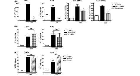 Influence of protease, DNAse or carbohydrate-digesting enzymes ...