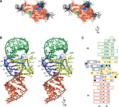 Solution structure of an informationally complex high-affinity RNA ...