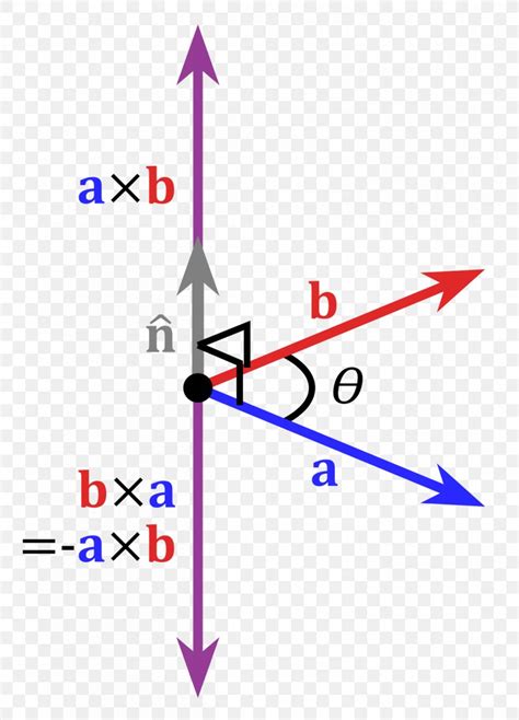 Cross Product Dot Product Multiplication, PNG, 1200x1669px, Cross ...